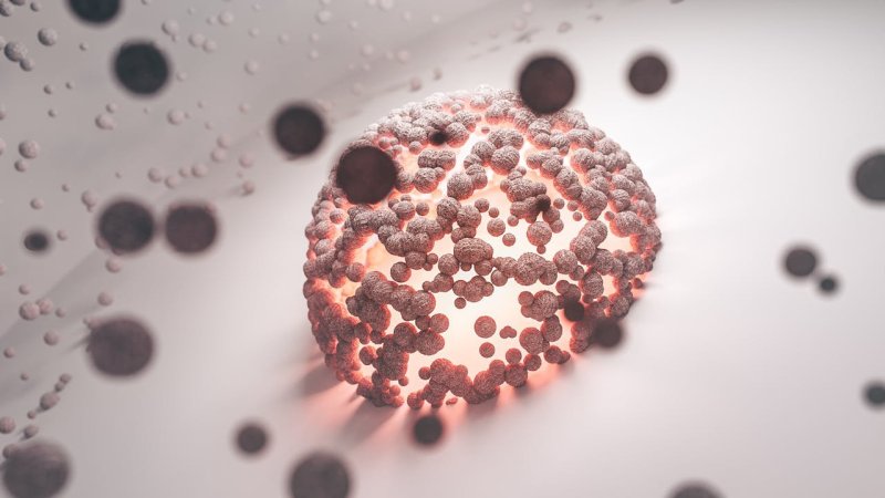 Tu sistema inmune también te defiende del cáncer: el guardián silenciso